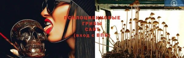 мяу мяу мука Алексеевка