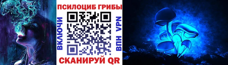 Галлюциногенные грибы мицелий  Бологое 